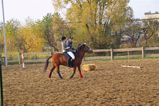 Hubertus 2009